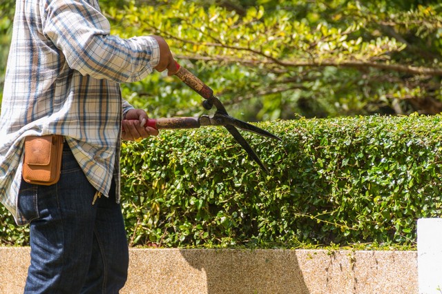 Garden Maintenance South Woodford, E18
